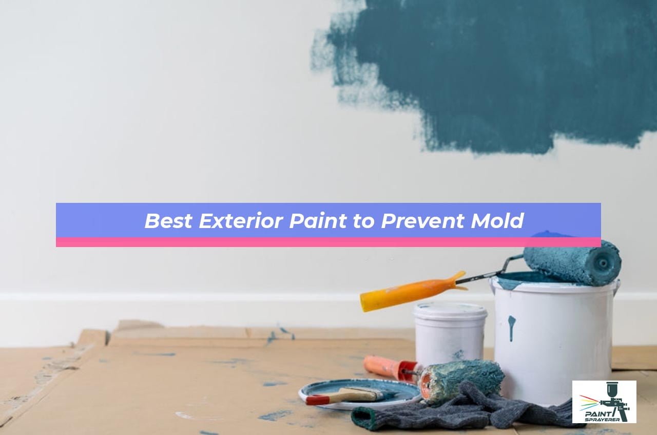 Best Exterior Paint to Prevent Mold